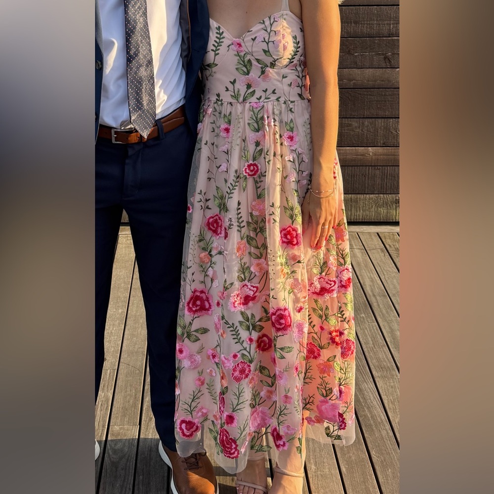 Petal & Pup Blush Pink Floral Embroidered Maxi Dress - Picture 3 of 3
